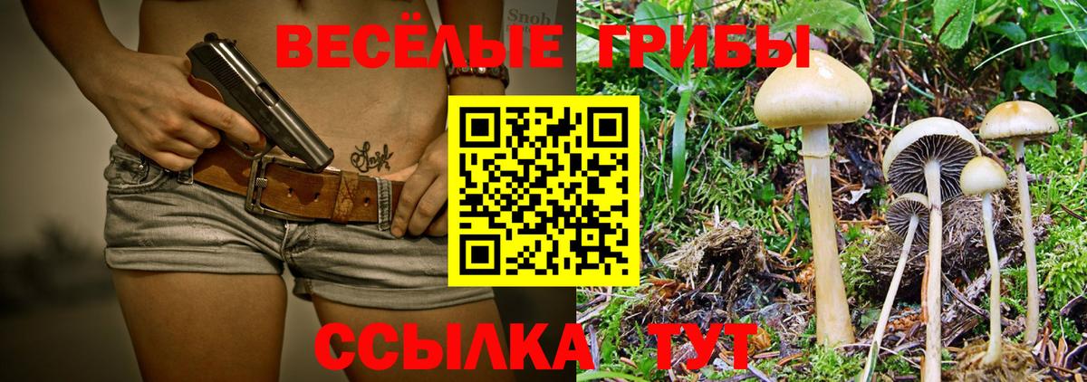 Галлюциногенные грибы Psilocybine cubensis  цена наркотик  Калининград  Вход с VPN 