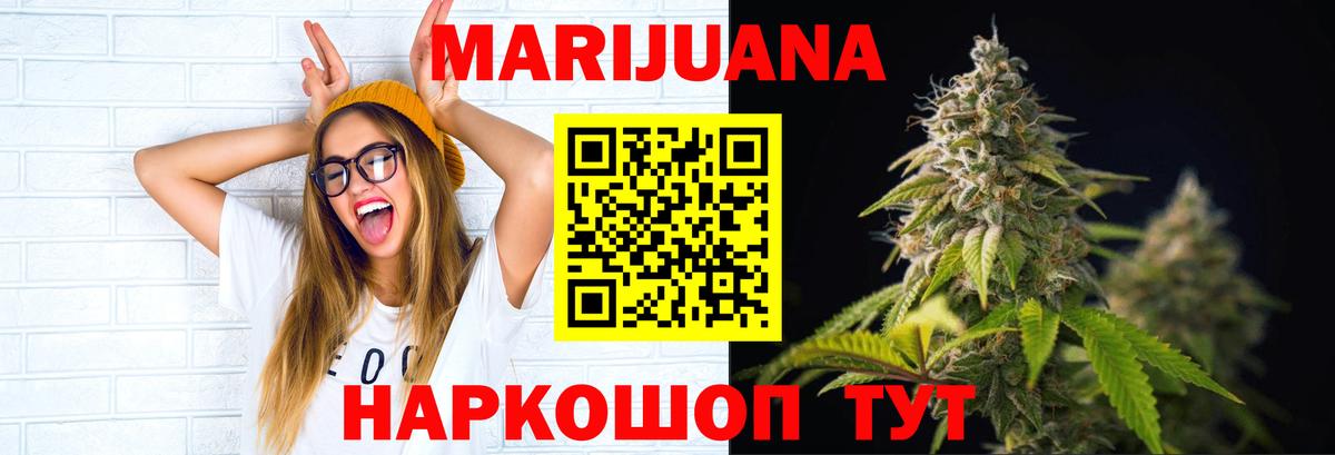 Каннабис планчик Калининград